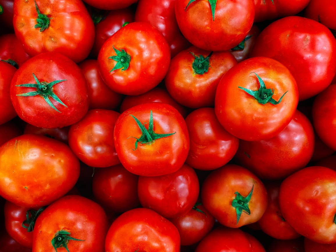 Fresh Ripe Tomatoes