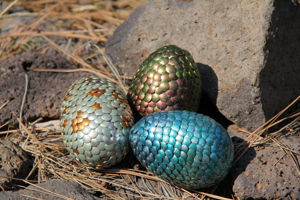 Dragon eggs